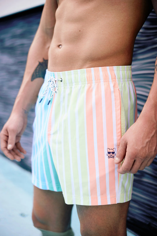 Jersey Shore Party Swim Short | Multi