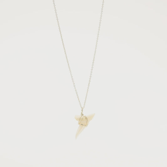 Wire Wrapped Shark Tooth Necklace