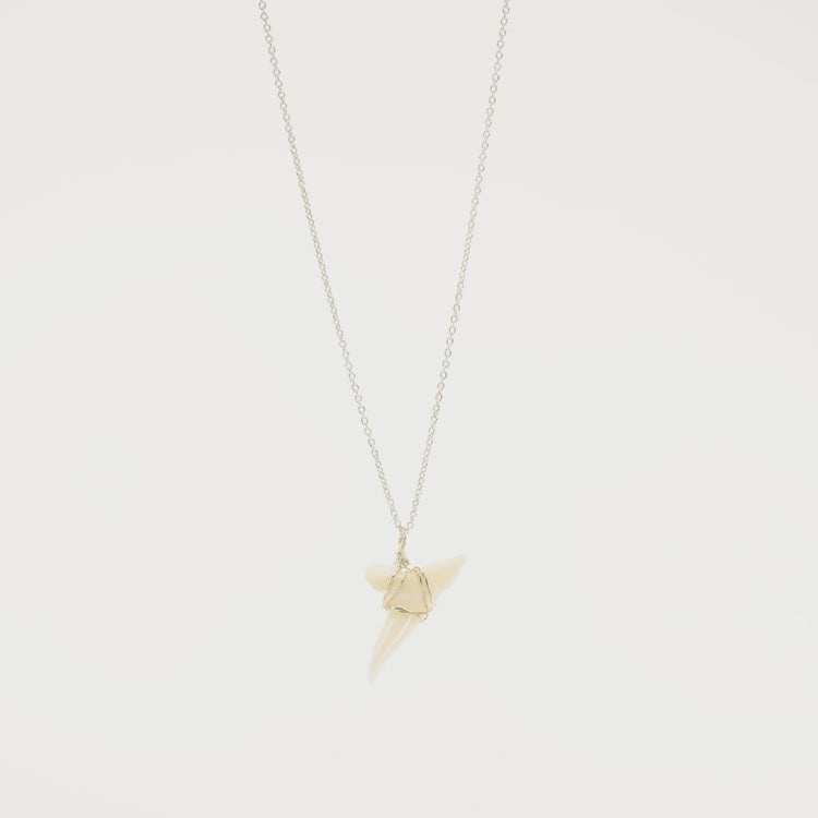 Wire Wrapped Shark Tooth Necklace