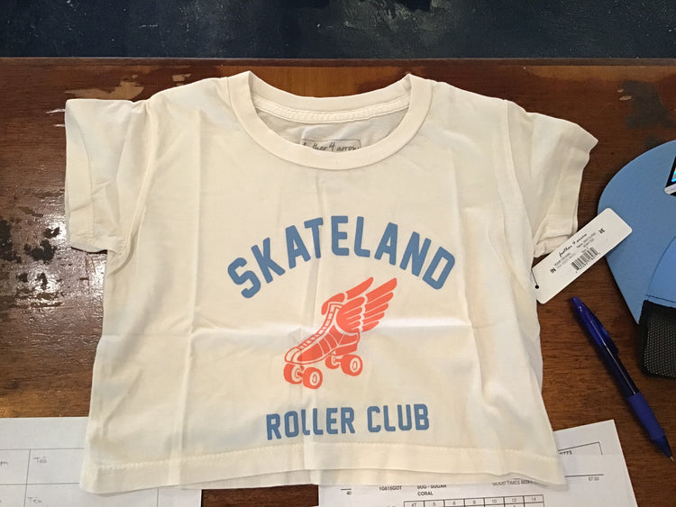 Skateland Boxy Land